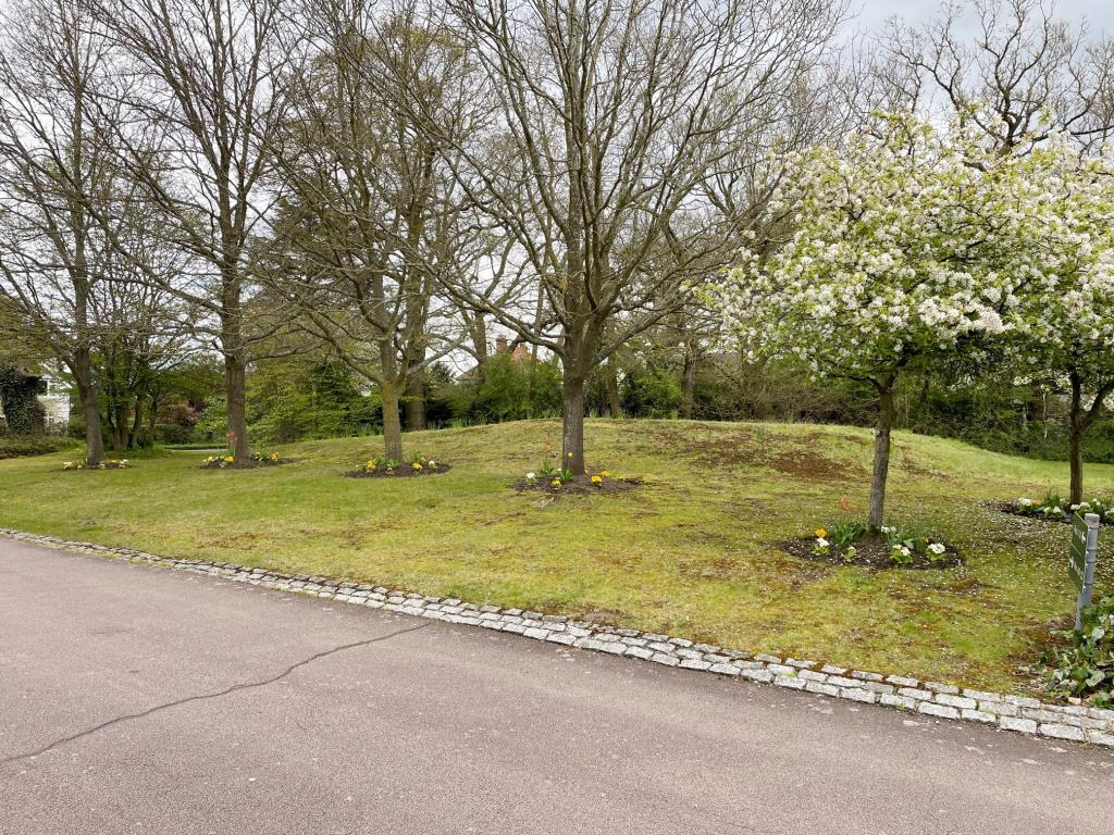 Lot: 69 - FREEHOLD PARCEL OF LAND - View of the land adjacent to 1 Alexander Mews